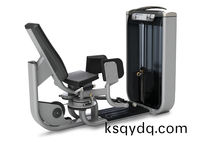 大(da)骽(tui)外側(ce)訓練(lian)器(qi)