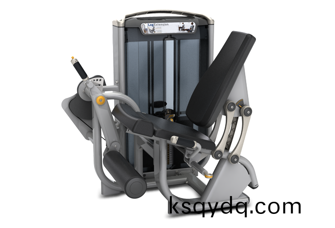 大(da)骽(tui)伸(shen)展訓(xun)練(lian)器