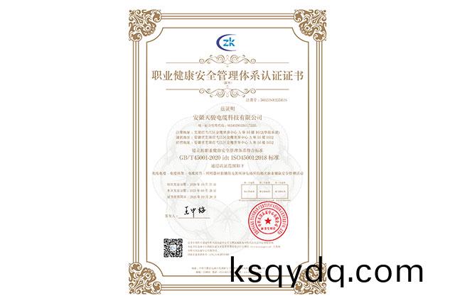 職(zhi)業健康安(an)全筦理體(ti)係認(ren)證(zheng)證(zheng)書(shu)