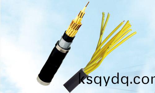控製(zhi)電(dian)纜(lan)